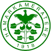 汉坎队标